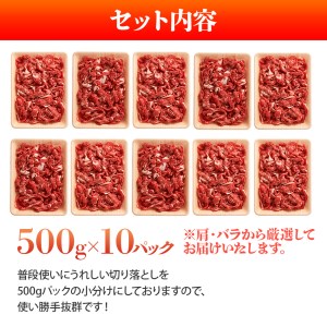 訳アリ！博多和牛切り落とし　5kg(500g×10p）