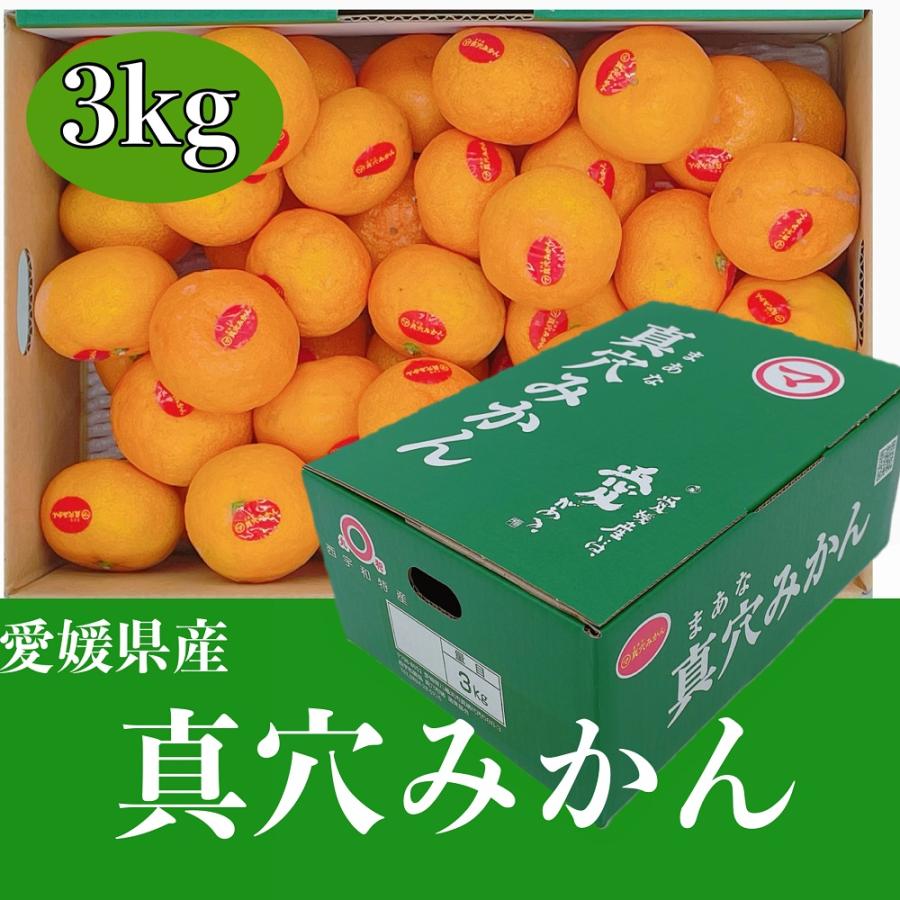 真穴みかん　愛媛県産（JAにしうわ） 2Ｓサイズ　3kg　ご家庭用