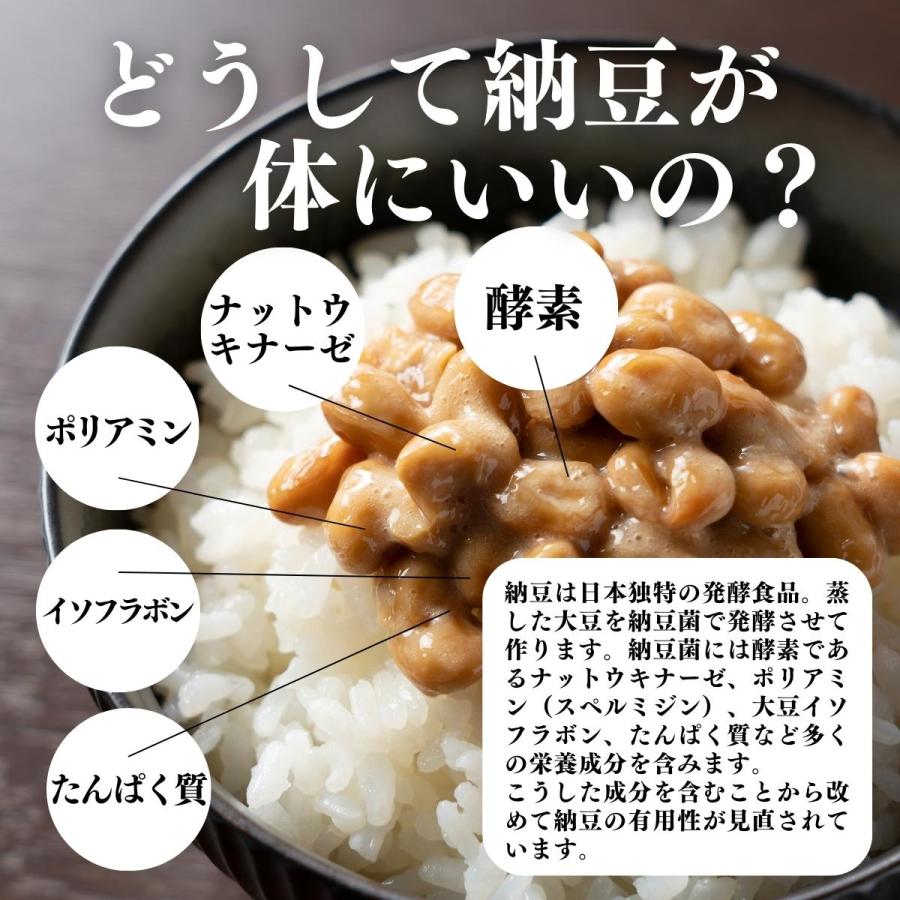 乾燥納豆 100g×3個 ドライ納豆 ひきわり納豆 無添加 犬 国産