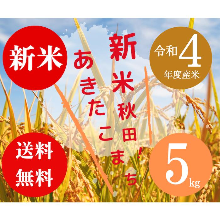 送料無料 令和５年度米 渡部浩見 漢方農法 特別栽培米 新米あきたこまち ５kg