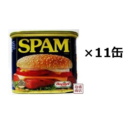 レギュラースパム SPAM ポークランチョンミート  11缶セット 沖縄　缶詰