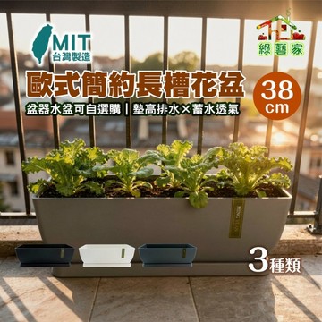 【綠藝家】台灣製 歐式長槽 38cm 黑色 白色 灰色 長方形花盆 陽台 窗台 蓄水 控根 蔬菜 香草 多肉