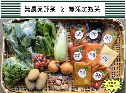 京都市産お野菜セット＋無添加惣菜8パックセット