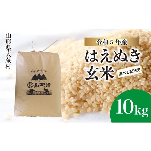 ふるさと納税 山形県 大蔵村 令和5年産 大蔵村 はえぬき  10kg （10kg×1袋）