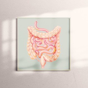 複製畫-Guts | 腸子,大腸,小腸