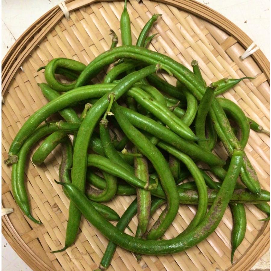 送料無料　もったいない野菜セット　規格外の野菜の詰め合わせ（北海道・沖縄は別途送料）