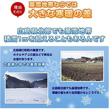 広島県産 ファーム永田の特別栽培 コシヒカリ 玄米 10kg(5kg×2) 分搗き無料 令和5年産 送料無料 （※北海道・沖縄・離島を除く）お米 米