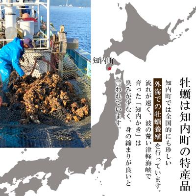 ふるさと納税 知内町 冷凍カキ約200g× 2袋セット 牡蠣 海鮮 魚介 かき 冷凍＜上磯郡漁業協同組合＞