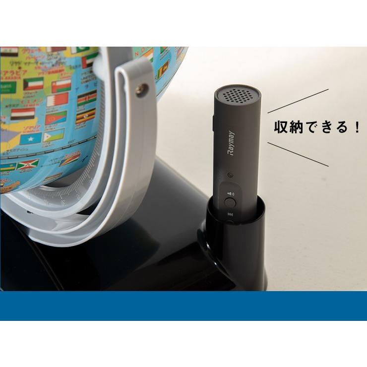 レイメイ藤井 地球儀 しゃべる国旗付 トイ 球径25cm OYV403