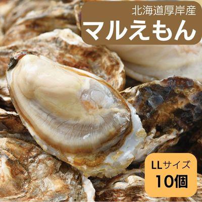 ふるさと納税 厚岸町 北海道厚岸町産 牡蠣 生食用 殻付カキ 「マルえもん」LLサイズ10個