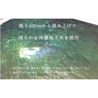 ふるさと納税 北杜市 山梨の大自然が育む「ワインたまご」30個入り