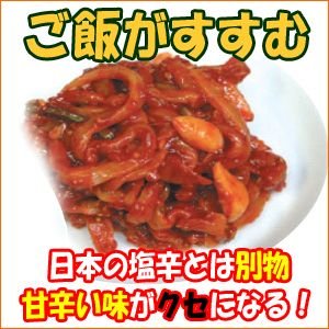 キムチ風イカの塩辛 500g (冷蔵)