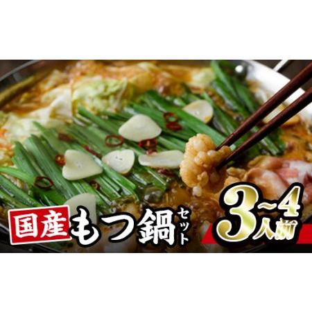 ふるさと納税 モツ鍋 セット (3-4人前・ホルモン500g・豚バラ300g・ちゃんぽん麺2玉・もつダレ1本) もつ鍋 便利 簡単 惣菜 鍋 おつまみ 牛肉 豚.. 大分県佐伯市