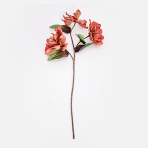Flora芙蘿拉花插深山含笑花 綠紅