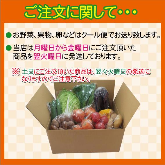 糸島新鮮産直野菜おまかせセット８品〜１０品