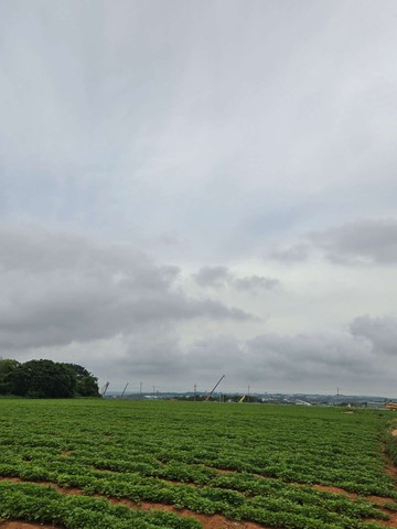 農地至高美景～未來是中科｜台中市沙鹿區竹林東段