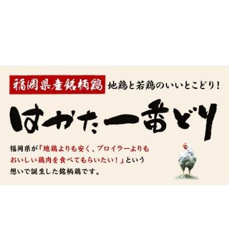 ふるさと納税 はかた一番どり チキンカツ　(株)あらい 福岡県古賀市