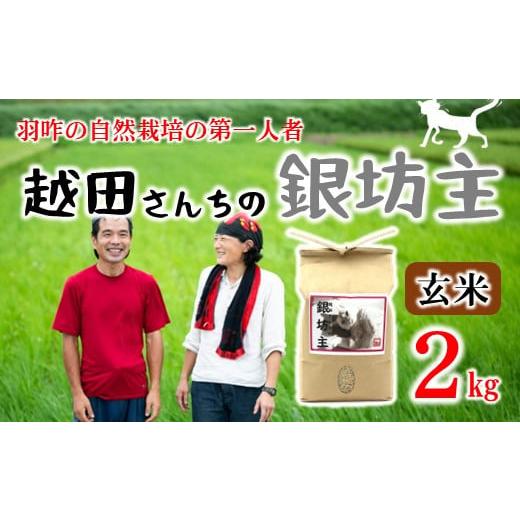 ふるさと納税 石川県 羽咋市 [A229] 自然栽培米　越田さんちの銀坊主（玄米）2kg