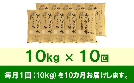 3人に1人がリピーター!☆全10回定期便☆ 岩手ふるさと米 10kg×10ヶ月 令和5年産 新米 一等米ひとめぼれ 東北有数のお米の産地 岩手県奥州市産[U0157]