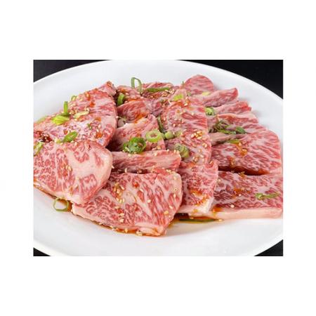 ふるさと納税 田原牛のタレ付き特選上カルビ500g ／ 牛肉 BBQ 愛知県 産地直送 田原市 渥美半島 愛知県田原市