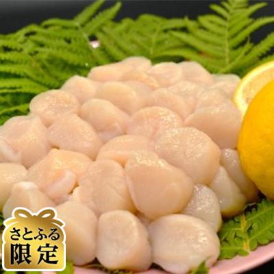 ふるさと納税 網走市 大粒刺身帆立　1kg