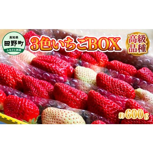 ふるさと納税 高知県 田野町 ≪農園直送≫ 高級品種3色いちごBOX 計600g程度 いちご イチゴ 苺 果物 フルーツ 詰め合わせ 高級 品種 海惚れいちご 天使のイチ…