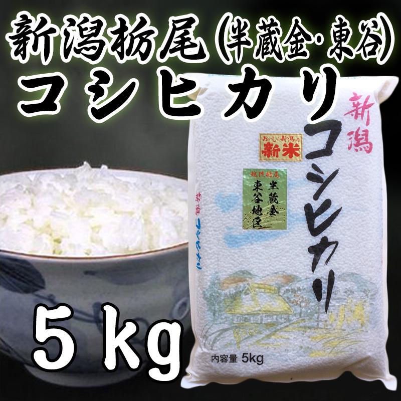 新米 新潟県 栃尾産 コシヒカリ (半蔵金・東谷地区) 白米 5kg 令和5年産 お米