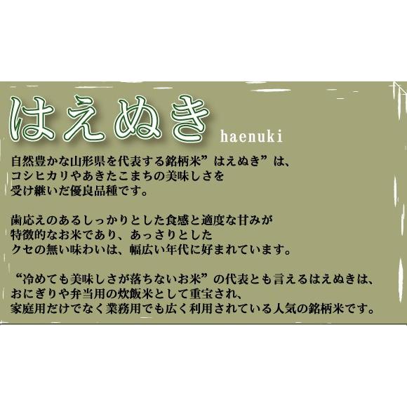 ポイント5倍 新米 無洗米 山形県産はえぬき 2合(300g) ×1袋 メール便送料込み ポイント消化 令和5年産 米 食品 お試し（SL）