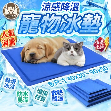 寵物冰墊【布萊恩👨🏻隔日到貨】寵物涼墊 降溫墊 寵物睡墊 寵物睡床 狗狗睡床 貓咪睡床 狗狗涼墊 貓咪涼墊 寵物用品