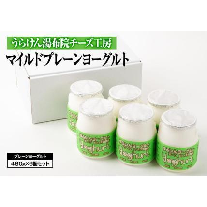 ふるさと納税 〜由布院チーズ工房からのお届け〜　甘味料未使用！生乳の旨味が感じられるマイルドプレーンヨーグルト（480g×6個） 大分県由布市