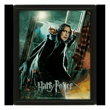 【哈利波特HARRY POTTER】 石內卜 3D海報(含框)-撕淌三步殺【墊腳石】