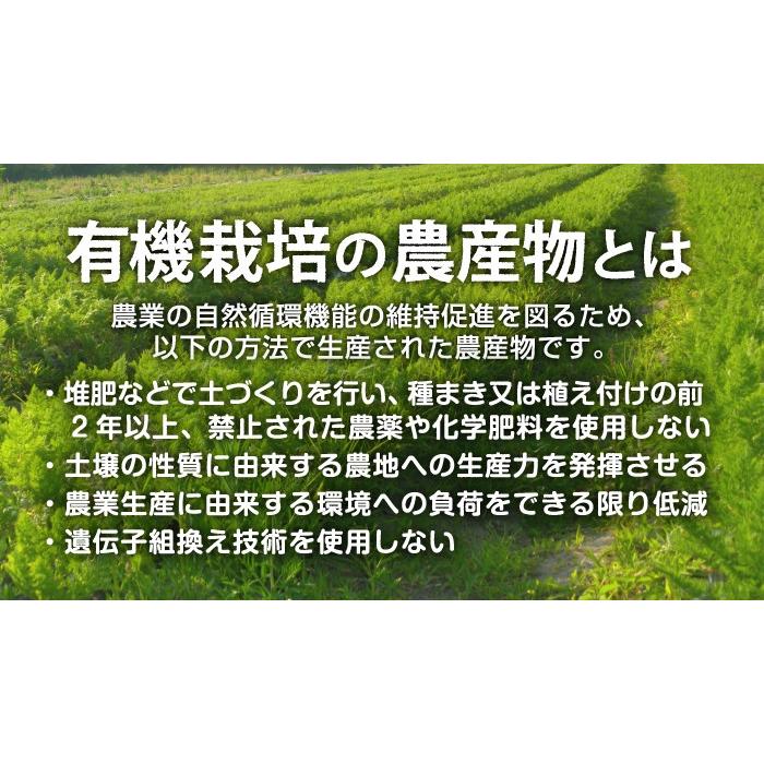 人参 9kg 有機栽培 鹿児島県産 宮崎県産 有機JAS認証 洗い にんじん ニンジン organic 無農薬 化学肥料・農薬不使用 カロテン 常温便