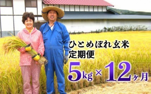 ≪令和5年産  新米≫減農薬栽培 ひとめぼれ 玄米 5kg 