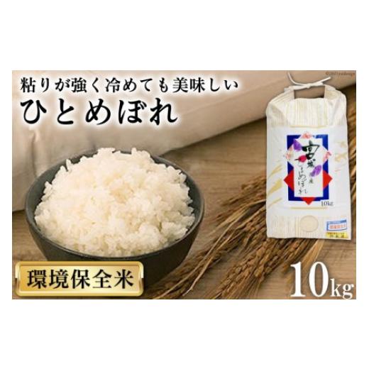 ふるさと納税 宮城県 気仙沼市 「ひとめぼれ」10kg＜菊武商店＞