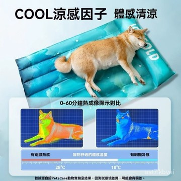 ❄️清涼一夏❄️貓狗冰窩 寵物註水冰墊 貓狗冰墊 寵物涼感墊 降溫凝膠 貓狗夏季冰窩 寵物水床 貓狗夏季降溫寵物冰墊夏季