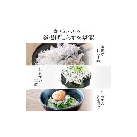 ふるさと納税 高知県 芸西村 高知県産釜揚げしらす 50g×24パック 簡易梱包 小分け 国産 釜揚げ シラス丼 海鮮丼 ゆず付 お茶漬け 軍艦巻き 手巻き寿司 24人前…