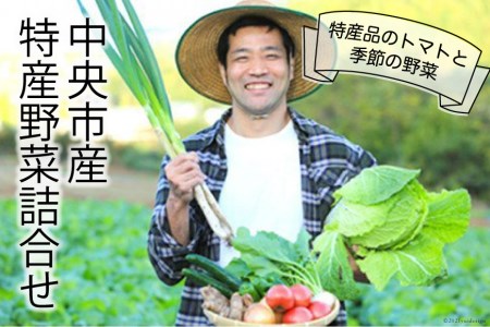 中央市産特産野菜詰合せ