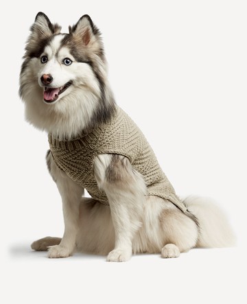 Kenneth Cole | Cable Knit Dog Sweater in Gray, Size: XS