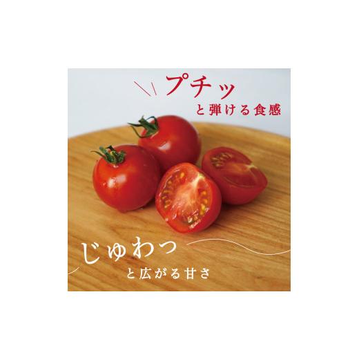 ふるさと納税 山梨県 富士吉田市 フルーツトマト「FUJITOMA」ボックスセット