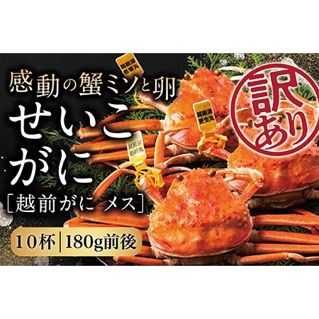 ふるさと納税 越前がに（メス）「せいこがに」訳あり 大サイズ 180g前後 × 10杯 福井県越前市