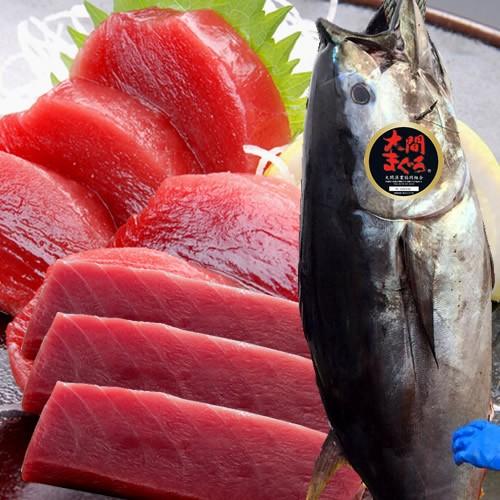 まぐろ大間産 天然本マグロ 赤身 [200g×3柵] 大間のまぐろ 一本釣り 生まぐろ 刺身用 大間港直送［お歳暮 2023 ギフト 御歳暮］