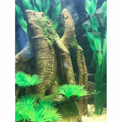 樹脂 木 水槽の通販 2 630件の検索結果 Lineショッピング