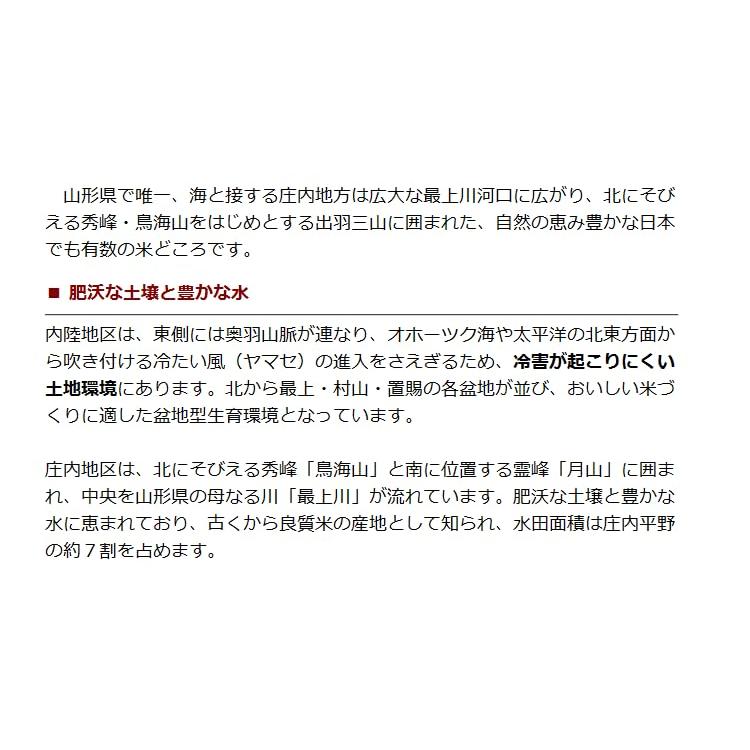 令和4年 山形県 庄内産 はえぬき 一等米 玄米 5kg （特別栽培米）