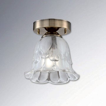 單吸頂燈 B102-81-25297