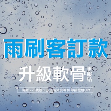 【軟骨隱藏版】 一組2入 客訂雨刷 雨刷 客製 歐規 日規 韓規車系 不跳刷 超安靜 高服貼 激推使用