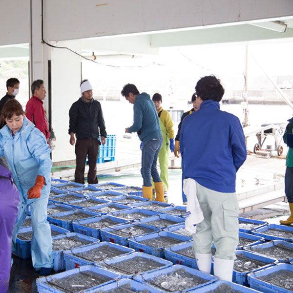 C6032n_ 特選 天日干し ちりめん 木箱 400g 紀州湯浅湾 直送！