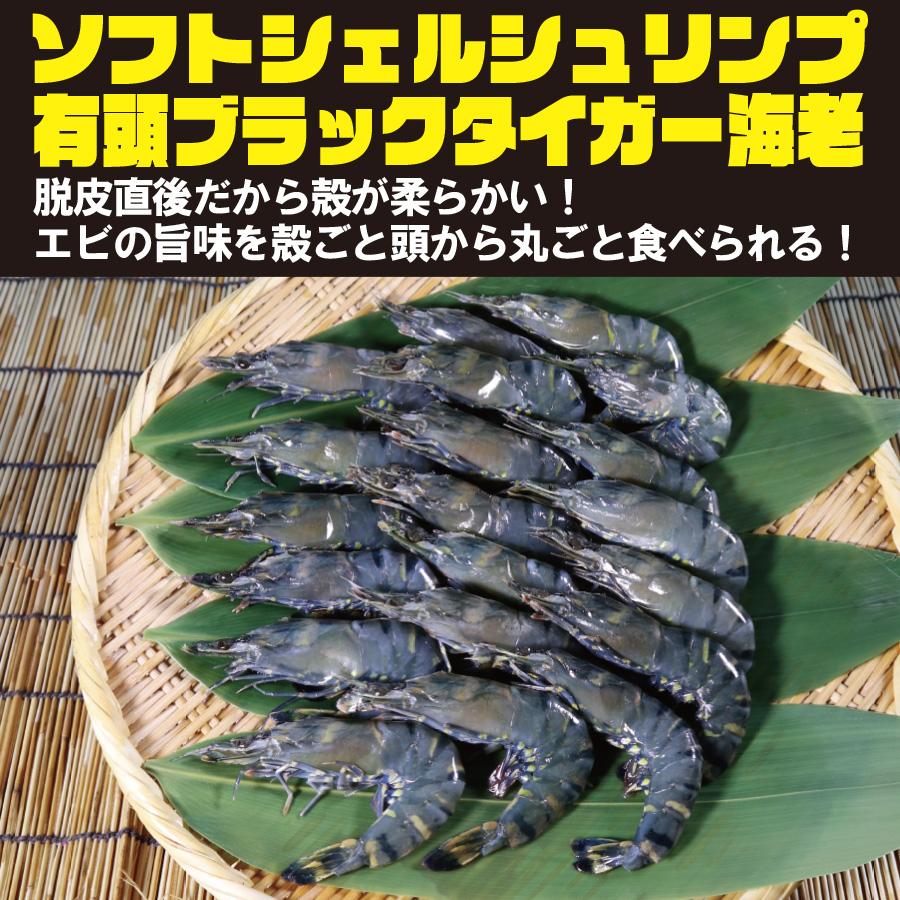 ソフトシェルシュリンプ  えび　エビ　海老　まるごと食べる　ガーリックシュリンプ　２０尾　ブラックタイガー　唐揚げ