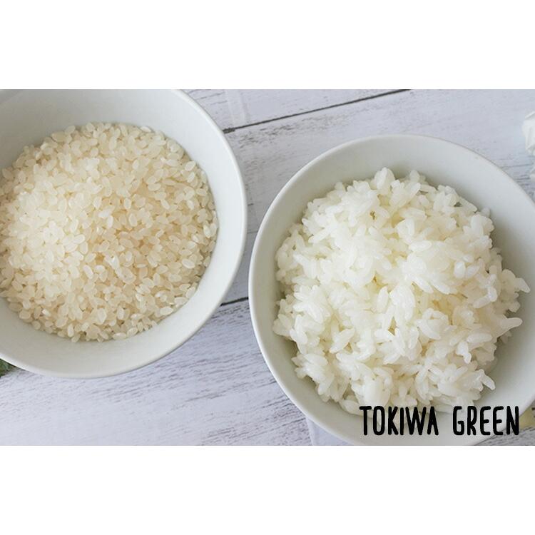 新米 米 20kg 5年産 青森県産 ときわGreen 白米20kg（5kg×4袋）小分け 人気 安い 精米