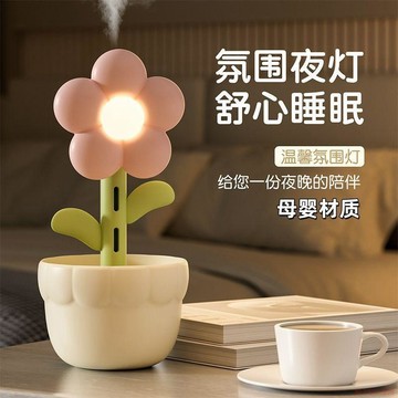 桃園出貨✨迷你加溼器家用靜音便攜式冬天冬季補水空調保溼桌面辦公充電可愛