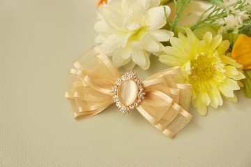 F1-自動夾彈簧夾(L&M)- 公主夾髮夾瀏海夾側夾/馬尾夾